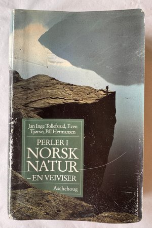 Jan Inge Tollefsrud, Even Tjørve, Pål Hermansen