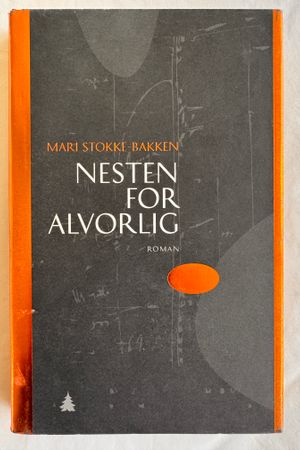 Nesten for alvorlig av Mari Stokke-Bakken - Forside