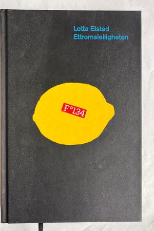 Etromsleiligheten av Lotta Elstad - Forside