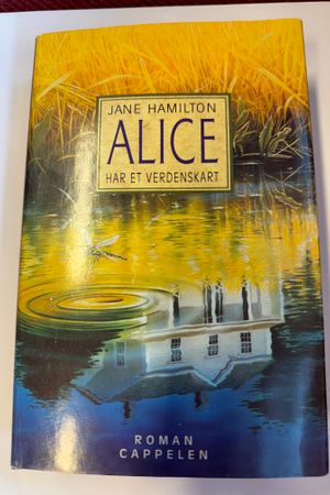 Alice har et verdenskart av Jane Hamilton - Forside