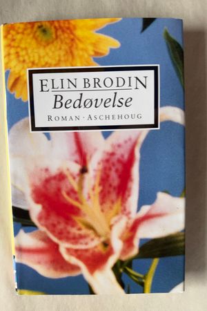 Bedøvelse av Elin Brodin - Forside