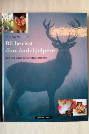 Bli bevisst dine åndehjelpere møte med engler, alver, kraftdyr og forfedre av Teresa Moorey - Forside