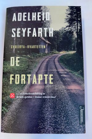 De fortapte av Adelheid Seyfarth - Forside