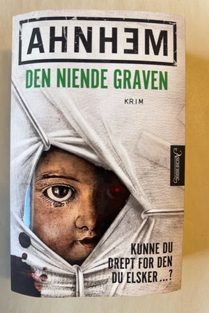 Den niende graven krim av Stefan Ahnhem - Forside