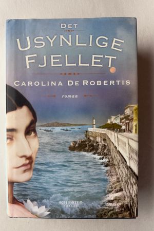 Det Usynlige Fjellet av Carolina de Robertis - Forside