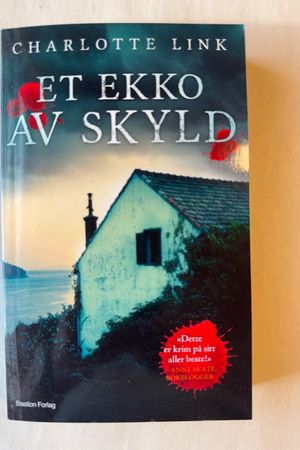 Et ekko av skyld av Charlotte Link - Forside