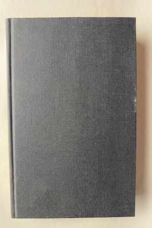 Et speilbilde av Danielle Steel - Forside