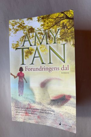 Forundringens dal av Amy Tan - Forside