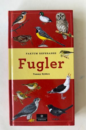 Fugler av Tommy Dybbro - Forside