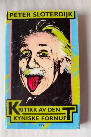 Kritikk av den kyniske fornuft av Peter Sloterdijk - Forside
