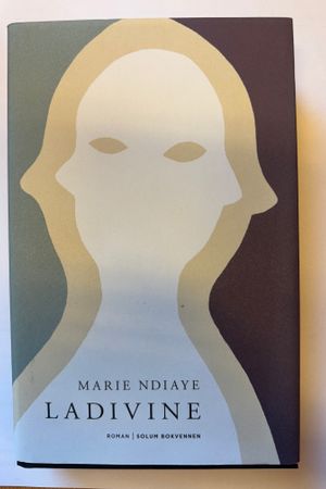 Ladivine av Marie Ndiaye - Forside