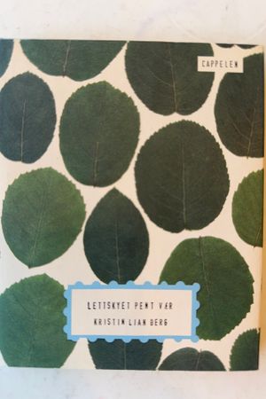 Lettskyet pent vær av Kristin Lian Berg - Forside