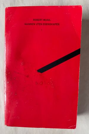 Mannen Uten Egenskaper av Robert Musil - Forside