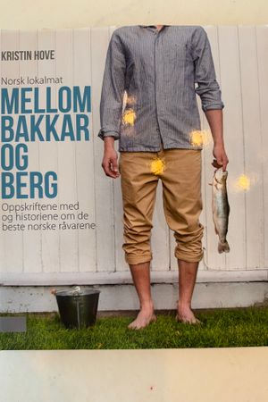 Mellom bakkar og berg av Kristin Hove - Forside