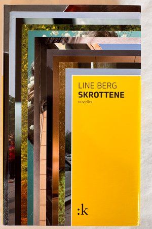 Skrottene av Line Berg - Forside