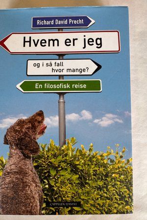Hvem er jeg av Richard David Precht - Forside
