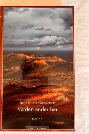 Verden ender her av Åsne Maria Gundersen - Forside