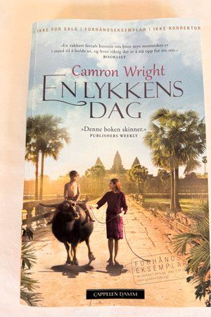 En lykkens dag av Camron Wright - Forside