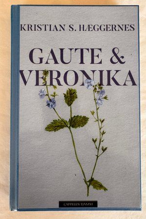 Gaute & Veronika av Kristian S. Hæggernes - Forside