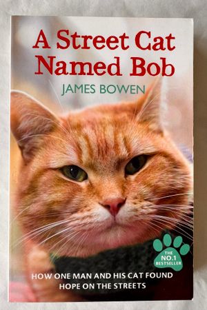 A Street Cat Named Bob av James Bowen - Forside