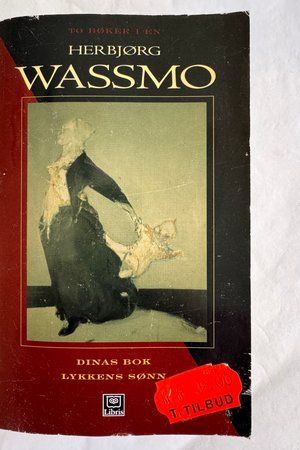 Dinas bok / Lykken's sønn av Herbjørg Wassmo - Forside