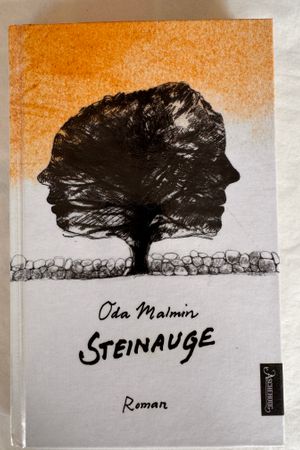 Steinauge av Oda Malmin - Forside