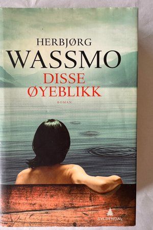 Disse øyeblikk av Herbjørg Wassmo - Forside