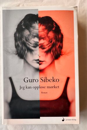 Jeg kan oppløse mørket av Guro Sibeko - Forside