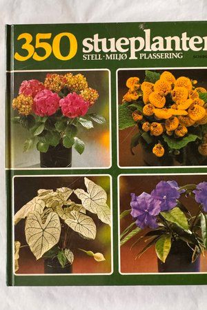 350 stueplanter av Rob Herwig - Forside