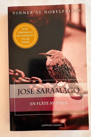 En flåte av stein av José Saramago - Forside