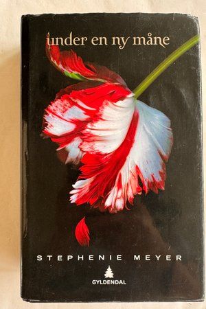 Under en ny måne av Stephenie Meyer - Forside