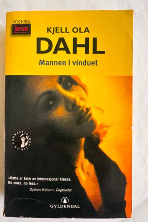 Mannen i vinduet av Kjell Ola Dahl - Forside