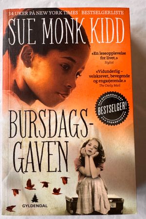 Bursdagsgaven av Sue Monk Kidd - Forside