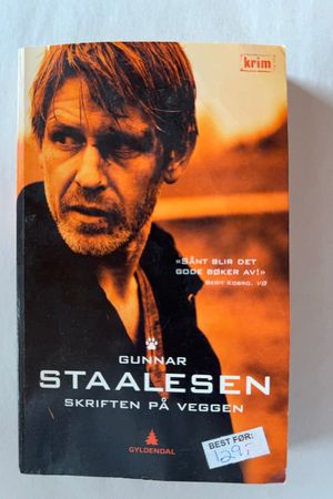 Skriften på veggen av Gunnar Staalesen - Forside