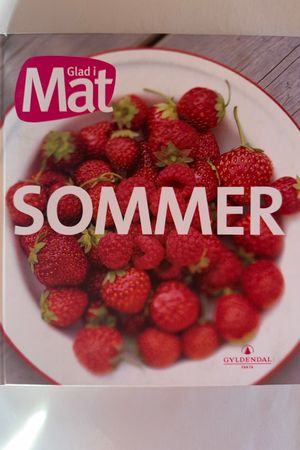 Sommer av Wenche Tømt - Forside