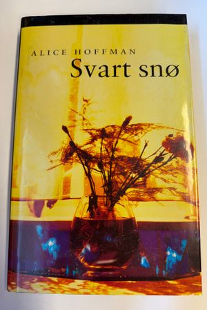 Svart snø av Alice Hoffman - Forside