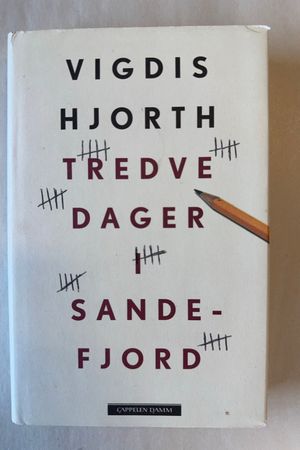 Tredve dager i Sandefjord roman av Vigdis Hjorth - Forside