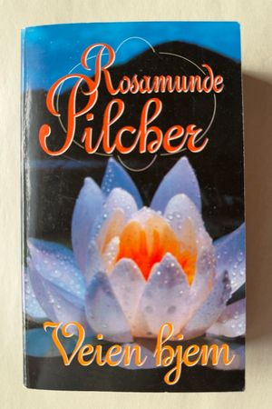 Veien hjem av Rosamunde Pilcher - Forside