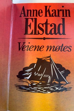 Veiene møtes av Anne Karin Elstad - Forside