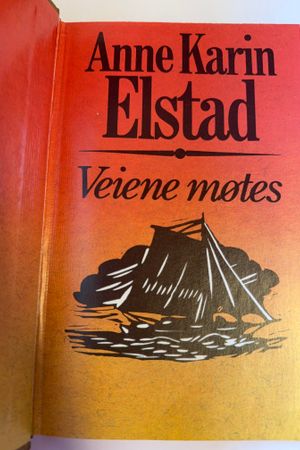 Veiene møtes av Anne Karin Elstad - Forside